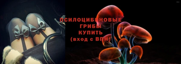 МДПВ Иннополис