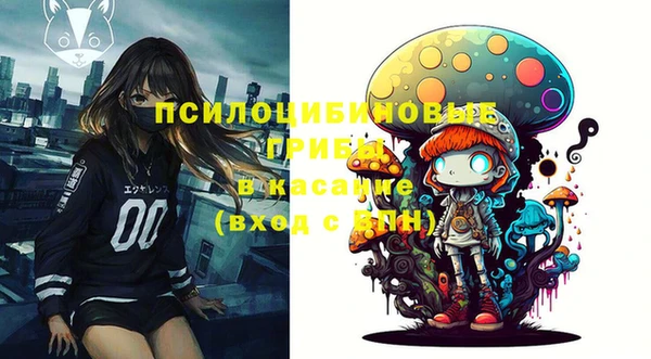 МДПВ Иннополис