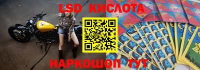 спайс Будённовск