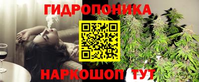 спайс Будённовск