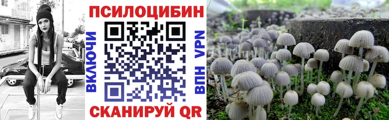 МЕГА ТОР  Камышлов  Псилоцибиновые грибы Magic Shrooms 