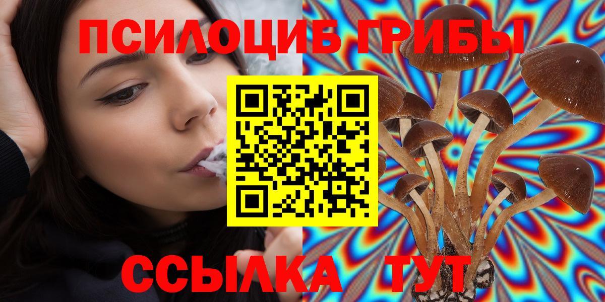 Галлюциногенные грибы Cubensis  Галлюциногенные грибы прущие грибы  Вход с VPN  Камышлов 